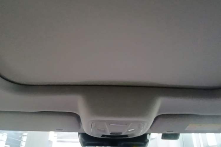 Used Haval DARGO 2024 2.0T DCT Chinese Rural Dog Edition Headliner
