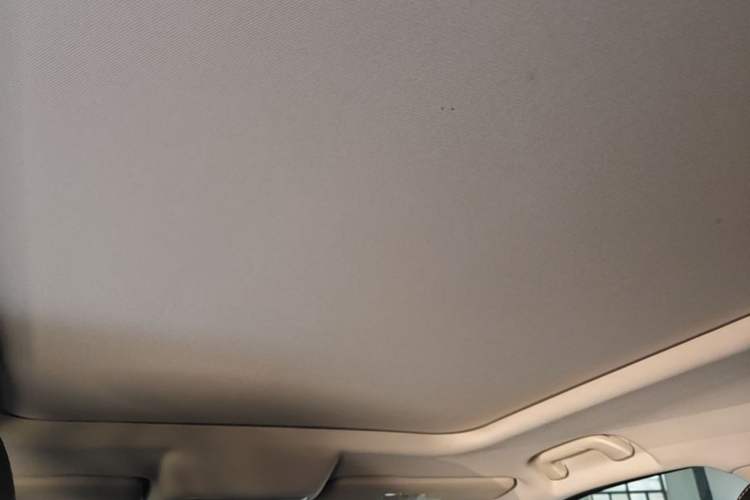 Used Haval DARGO 2024 1.5T DCT Border Collie Edition Headliner