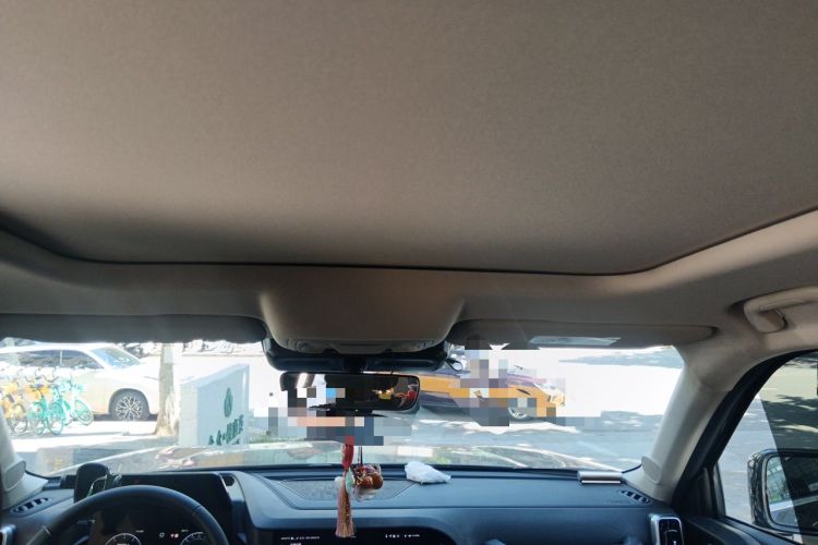 Used Haval DARGO 2024 1.5T DCT Border Collie Edition Headliner