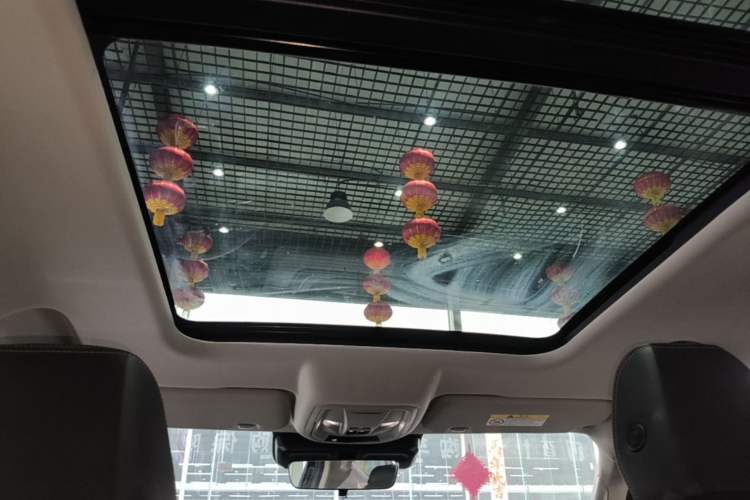 Used Haval DARGO 2024 2.0T DCT Chinese Rural Dog Edition Headliner