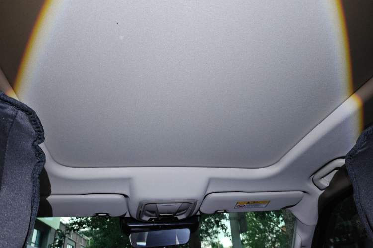 Used Haval DARGO 2024 2.0T DCT Chinese Rural Dog Edition Headliner