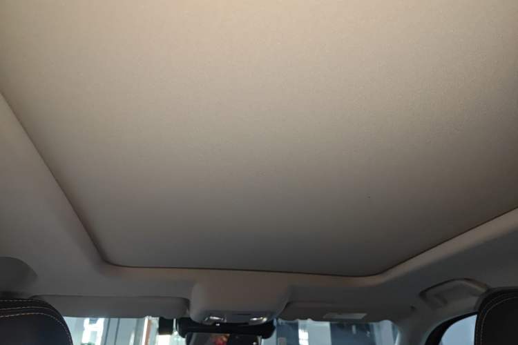 Used Haval DARGO 2024 2.0T DCT Chinese Rural Dog Edition Headliner
