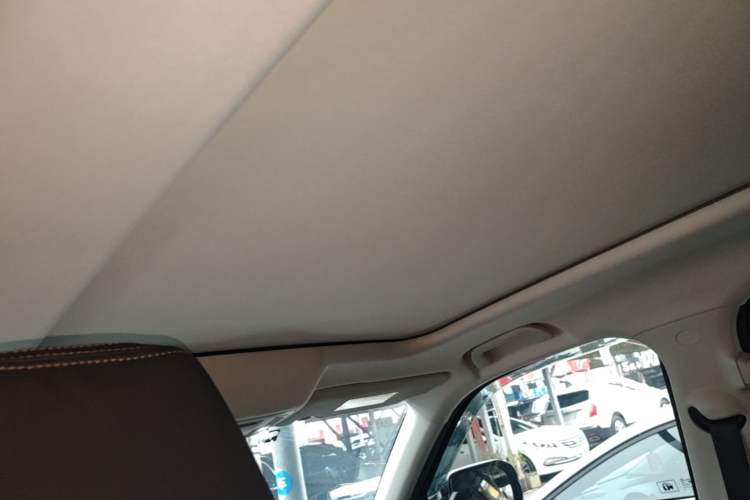 Used Haval DARGO 2024 1.5T DCT Border Collie Edition Headliner