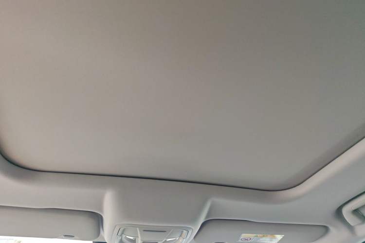 Used Haval DARGO 2024 2.0T DCT Chinese Rural Dog Edition Headliner