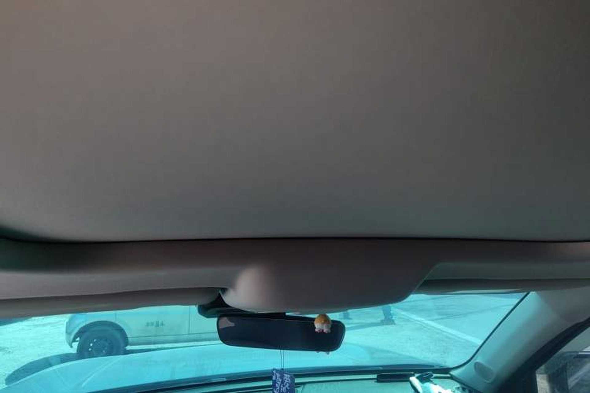 Used Haval DARGO 2024 1.5T DCT Border Collie Edition Headliner