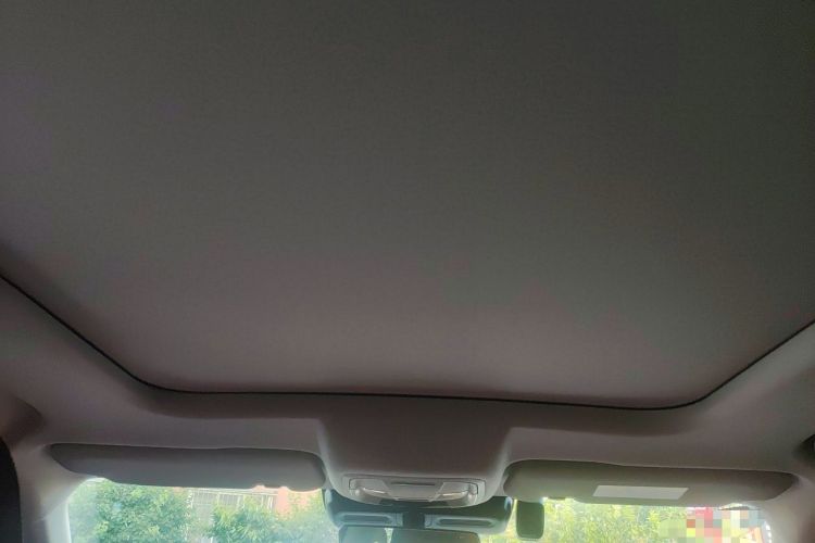 Used Haval DARGO 2024 1.5T DCT Border Collie Edition Headliner