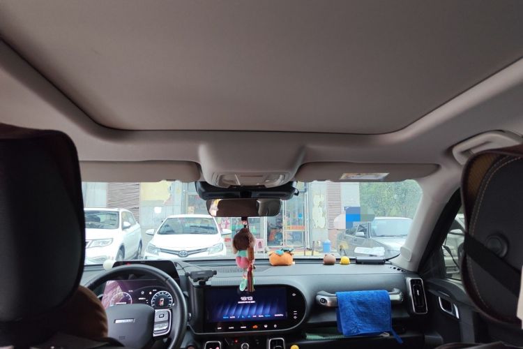 Used Haval DARGO 2024 1.5T DCT Border Collie Edition Headliner