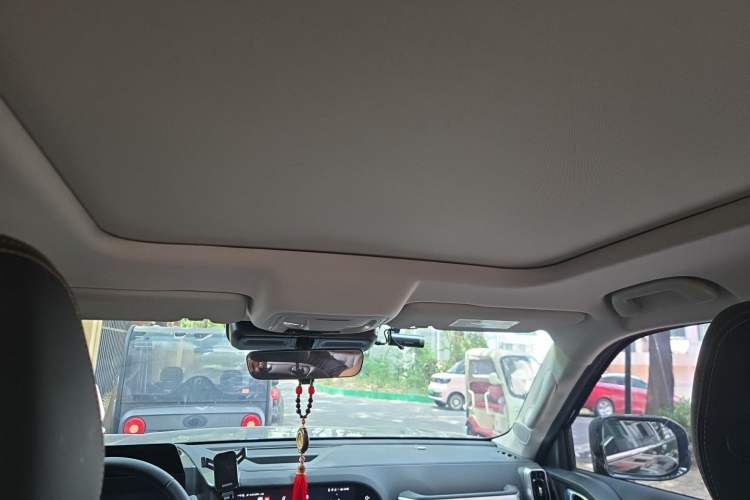 Used Haval DARGO 2024 2.0T DCT Chinese Rural Dog Edition Headliner