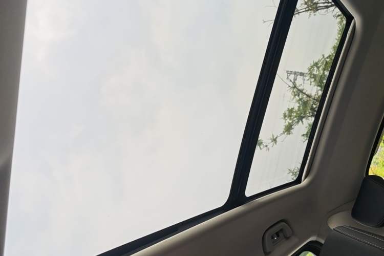 Used Haval DARGO 2024 2.0T DCT Chinese Rural Dog Edition Headliner