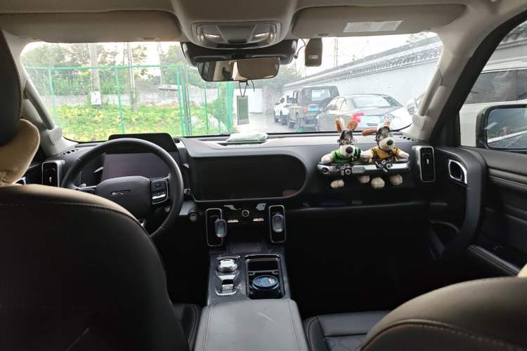 Used Haval DARGO 2024 2.0T DCT Chinese Rural Dog Edition Headliner