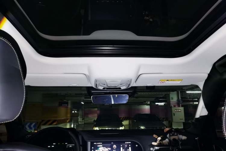 Used Haval DARGO 2024 2.0T DCT Chinese Rural Dog Edition Headliner