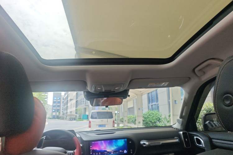 Used Haval DARGO 2024 2.0T DCT Chinese Rural Dog Edition Headliner