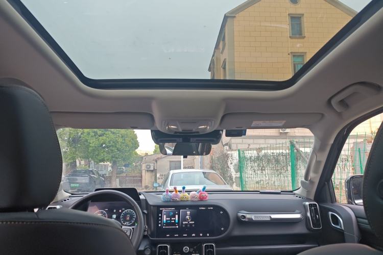 Used Haval DARGO 2024 2.0T DCT Chinese Rural Dog Edition Headliner