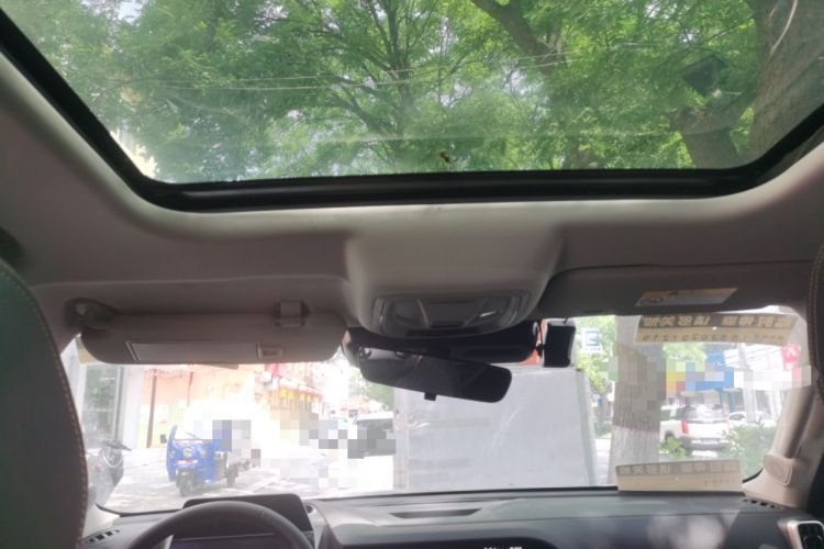 Used Haval DARGO 2024 2.0T DCT Chinese Rural Dog Edition Headliner