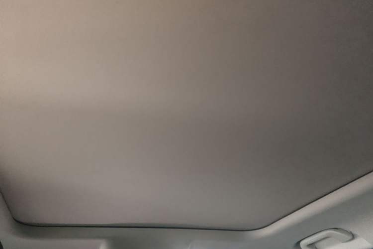 Used Haval DARGO 2024 1.5T DCT Border Collie Edition Headliner