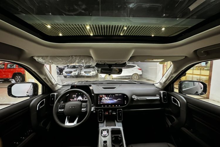 Used Haval DARGO 2024 2.0T DCT Chinese Rural Dog Edition Headliner