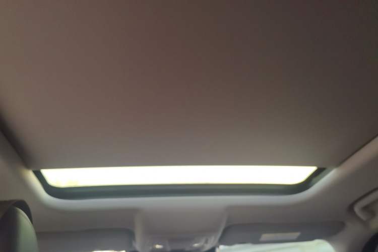 Used Haval DARGO 2024 1.5T DCT Border Collie Edition Headliner
