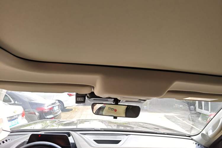 Used Haval DARGO 2024 2.0T DCT Chinese Rural Dog Edition Headliner