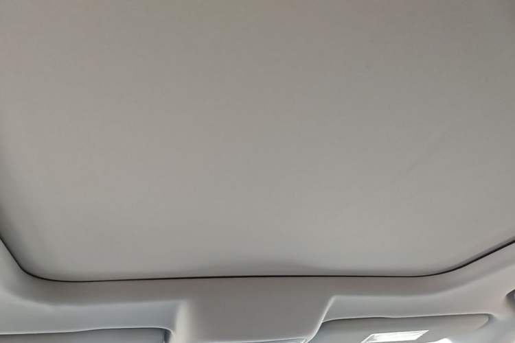 Used Haval DARGO 2024 1.5T DCT Border Collie Edition Headliner