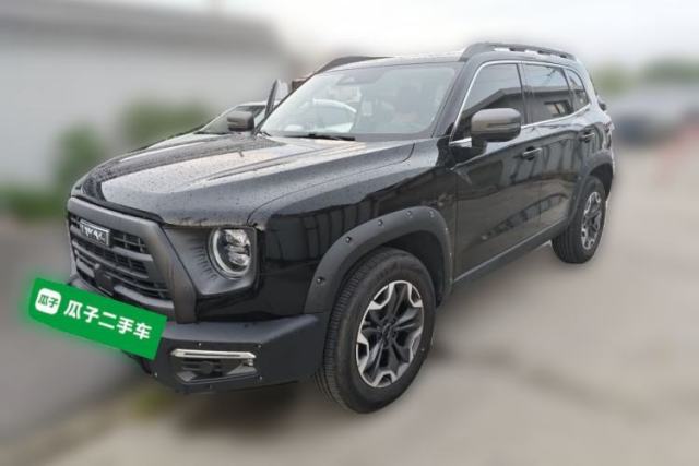 Used Haval DARGO 2024 2.0T DCT Chinese Rural Dog Edition