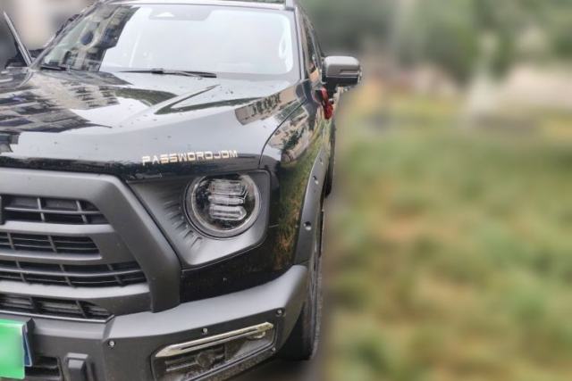 Used Haval DARGO 2024 2.0T DCT Chinese Rural Dog Edition