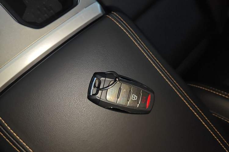 Used Haval DARGO 2024 2.0T DCT Chinese Rural Dog Edition Interior 1