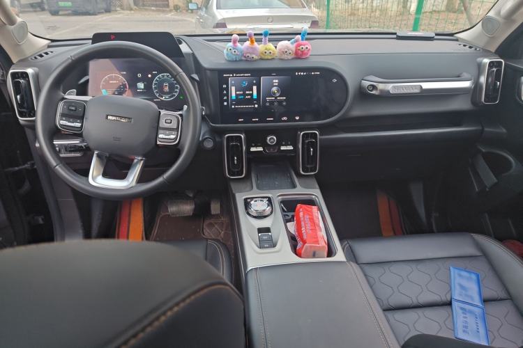 Used Haval DARGO 2024 2.0T DCT Chinese Rural Dog Edition Interior 2