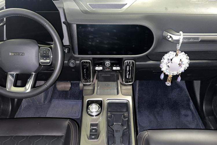 Used Haval DARGO 2024 2.0T DCT Chinese Rural Dog Edition Interior 3
