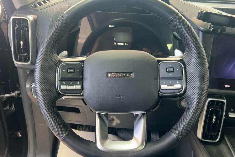 Used Haval DARGO 2024 2.0T DCT Chinese Rural Dog Edition Interior 4