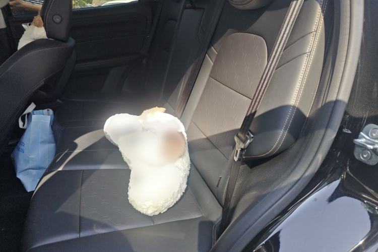 Used Haval DARGO 2024 1.5T DCT Border Collie Edition Interior 4