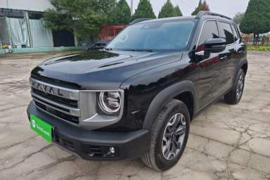 Used Haval DARGO 2024 2.0T DCT Chinese Rural Dog Edition