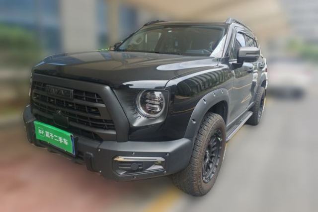 Used Haval DARGO 2024 2.0T DCT Chinese Rural Dog Edition