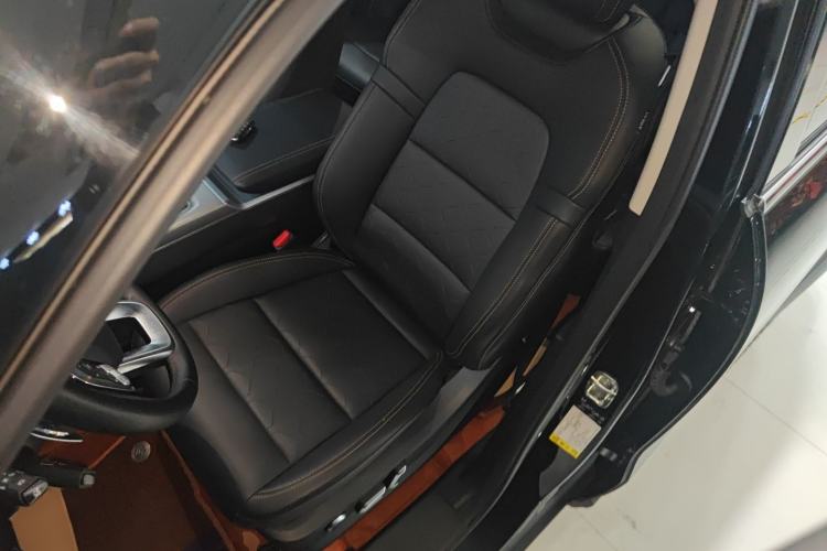Used Haval DARGO 2024 2.0T DCT Chinese Rural Dog Edition Left Front Seat