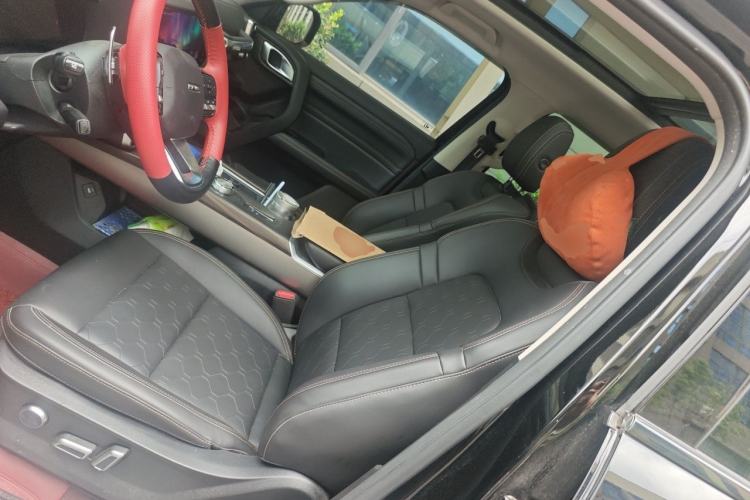 Used Haval DARGO 2024 2.0T DCT Chinese Rural Dog Edition Left Front Seat