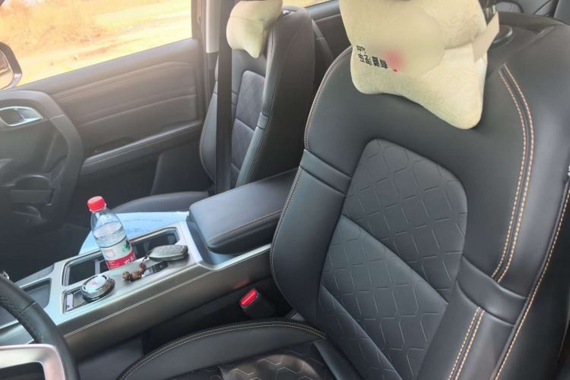 Used Haval DARGO 2024 2.0T DCT Chinese Rural Dog Edition Left Front Seat
