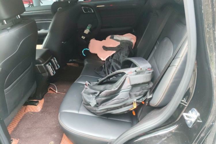 Used Haval DARGO 2024 2.0T DCT Chinese Rural Dog Edition Left Rear Seat