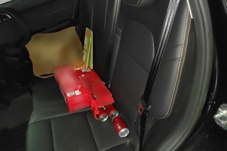 Used Haval DARGO 2024 2.0T DCT Chinese Rural Dog Edition Left Rear Seat