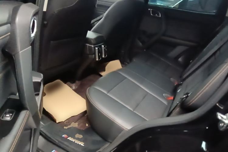 Used Haval DARGO 2024 2.0T DCT Chinese Rural Dog Edition Left Rear Seat