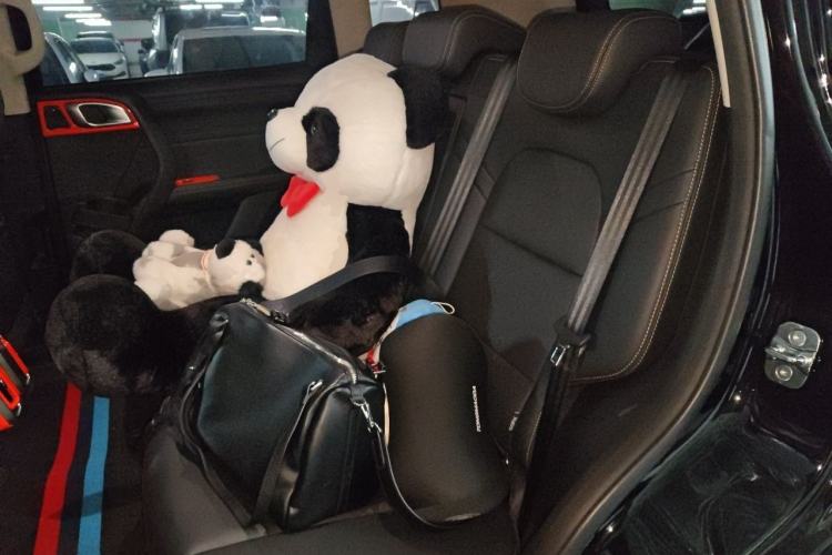 Used Haval DARGO 2024 1.5T DCT Border Collie Edition Left Rear Seat