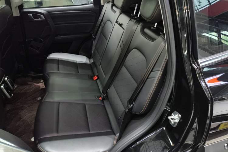 Used Haval DARGO 2024 2.0T DCT Chinese Rural Dog Edition Left Rear Seat