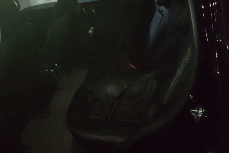 Used Haval DARGO 2024 1.5T DCT Border Collie Edition Left Rear Seat