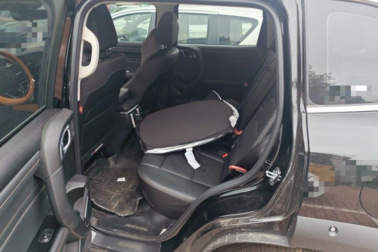 Used Haval DARGO 2024 2.0T DCT Chinese Rural Dog Edition Left Rear Seat