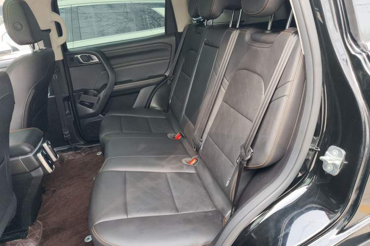 Used Haval DARGO 2024 1.5T DCT Labrador Edition Left Rear Seat