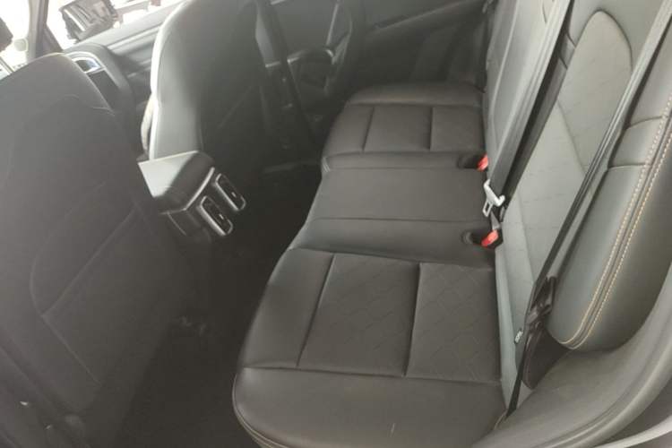 Used Haval DARGO 2024 2.0T DCT Chinese Rural Dog Edition Left Rear Seat