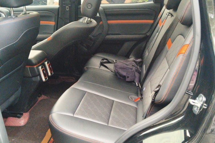 Used Haval DARGO 2024 2.0T DCT Chinese Rural Dog Edition Left Rear Seat