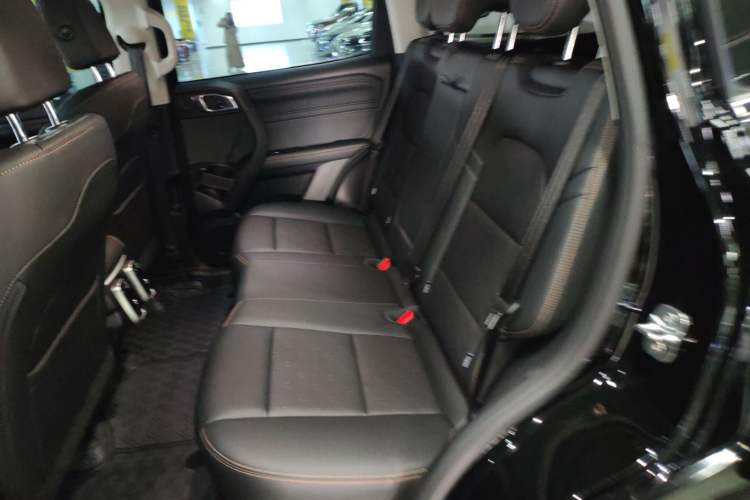 Used Haval DARGO 2024 2.0T DCT Chinese Rural Dog Edition Left Rear Seat