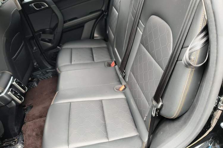 Used Haval DARGO 2024 2.0T DCT Chinese Rural Dog Edition Left Rear Seat