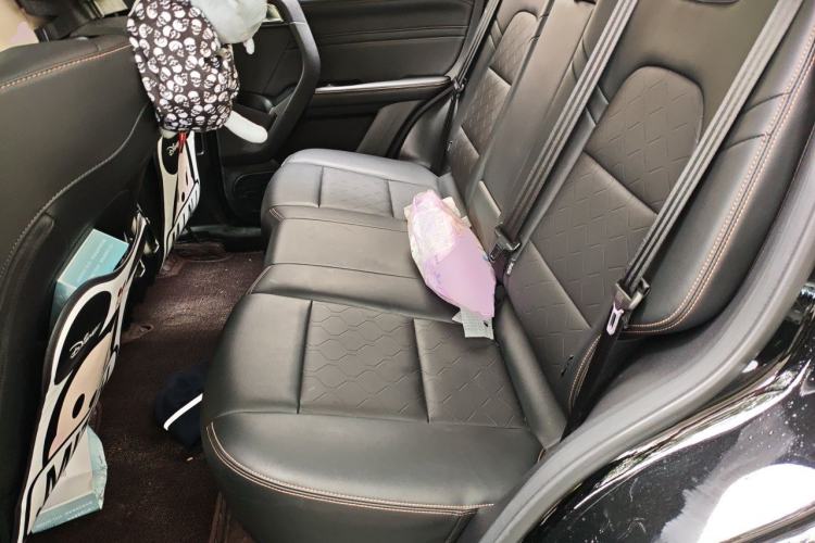 Used Haval DARGO 2024 1.5T DCT Border Collie Edition Left Rear Seat