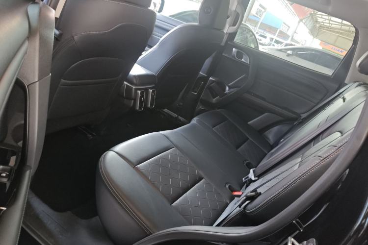Used Haval DARGO 2024 2.0T DCT Chinese Rural Dog Edition Left Rear Seat