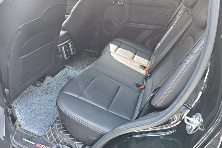 Used Haval DARGO 2024 2.0T DCT Chinese Rural Dog Edition Left Rear Seat